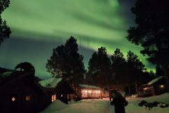 Northern Lights in Alta at ONGA