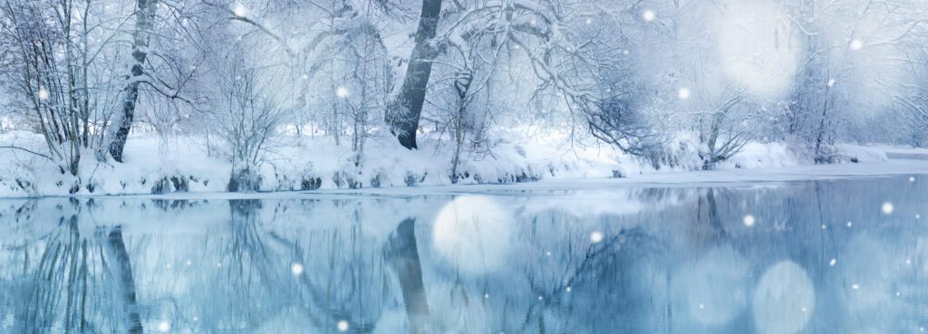 Lake and wood