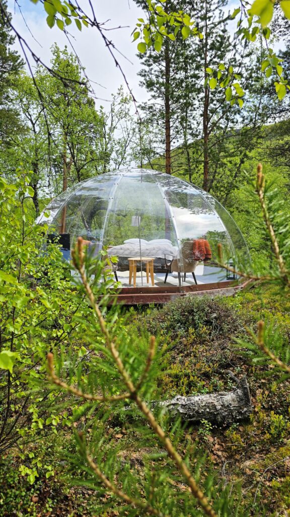 Aurora Dome in summer