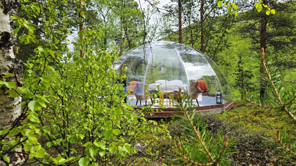 Aurora Dome in the summer forest