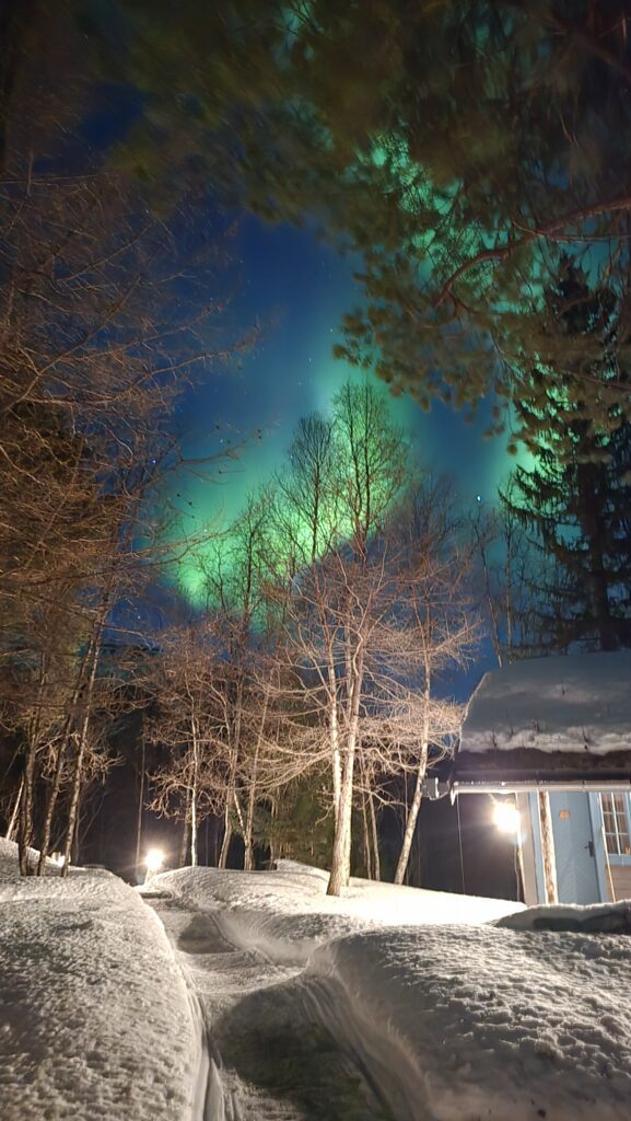 northern lights in april in alta norway