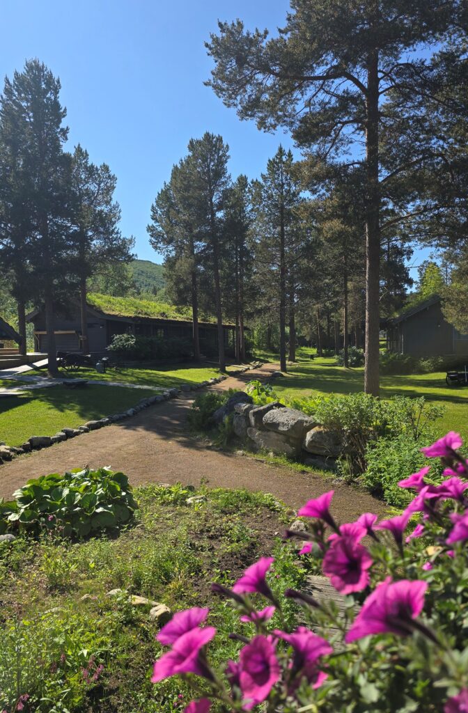 secluded arctic lodge with full privacy in alta northern norway