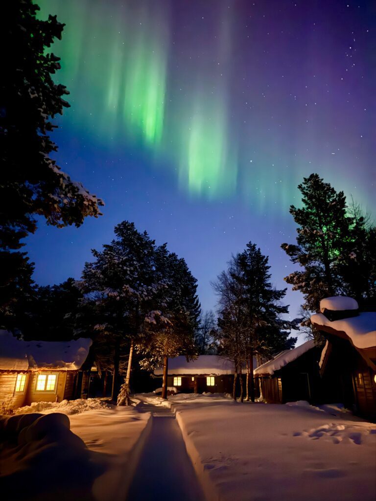 northern lights in january in alta at onga